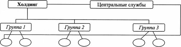 Рис 3.4 Функционально-дивизиональная структура управления