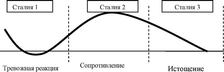 Рис. 9. Общий синдром адаптации по Сэли1