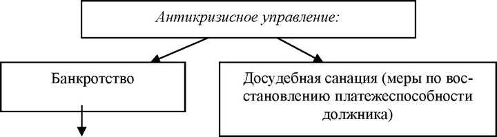 Меры по обеспечению сохранности имущества должника, проведения анализа финансового состояния должника