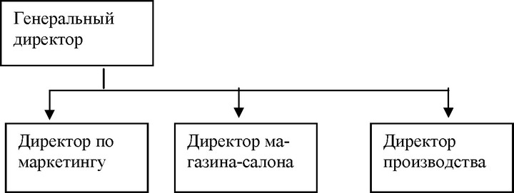 Структура управления предприятием