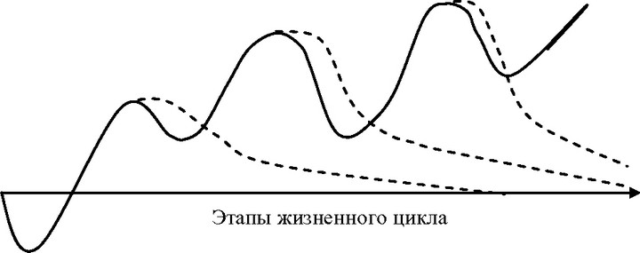 Рис.1. Этапы долгосрочного жизненного цикла компании