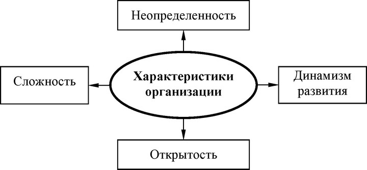 Рис. 3. Основные характеристики организации