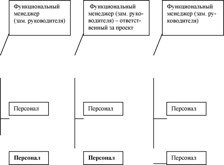 ФУНКЦИОНАЛЬНАЯ ОРГАНИЗАЦИОННАЯ СТРУКТУРА