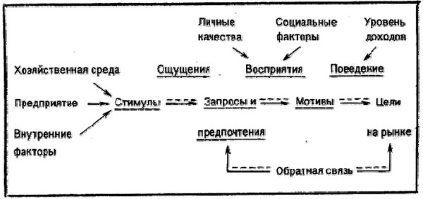 Рисунок 4 - Модель изучения поведения потребителя