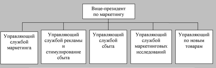 Рис. 12.Функциональная организация