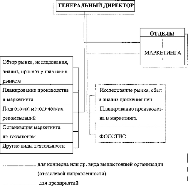 Рис.10.1. Функциональная организационно-управленческая структура.