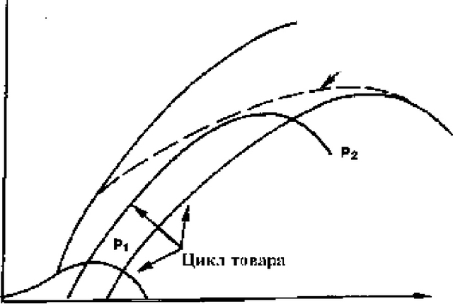 Отмеченные циклы имеют определенные фазы цикла спроса (см. рис. 11.1)