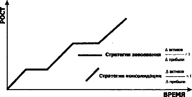 Адекватная стратегия